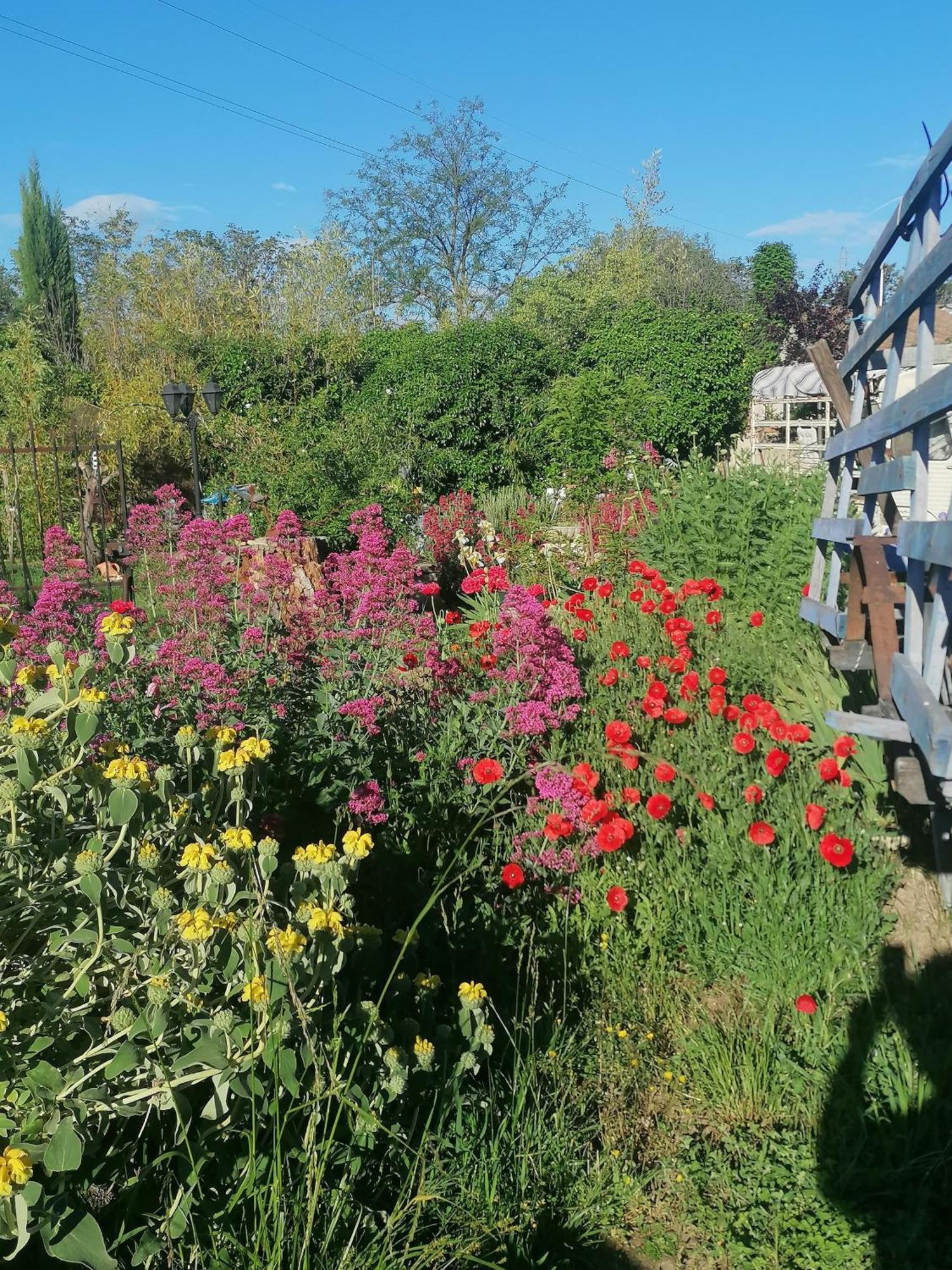 La Fee Viviane Et Michel L'Enchanteur Robion en Luberon ภายนอก รูปภาพ