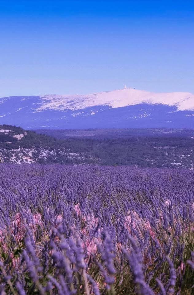 La Fee Viviane Et Michel L'Enchanteur Robion en Luberon ภายนอก รูปภาพ